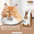 Gerry Pet Bentonite Cat litter