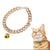 Cat Chain Collar With Bell