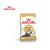 Royal Canin - Persian Adult - Dry Cat Food