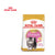 Royal Canin - Persian Kitten - Dry Cat Food